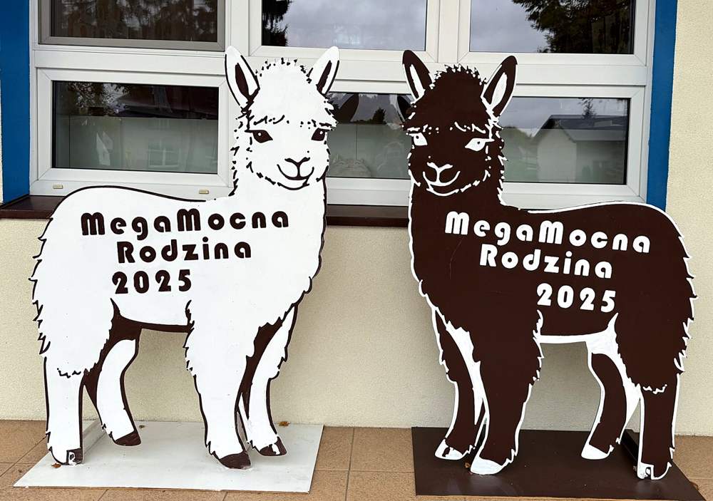 Dwie alpaki z napisem MegaMocna Rodzina 2025 przed wejściem do przedszkola i żłobka MegaMocni