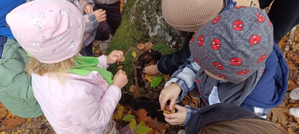 Budowanie domku dla leśnych skrzatów z mchu i liści